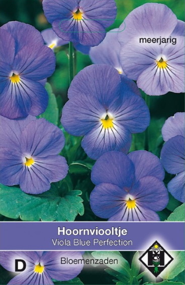 Horned Violet Perfection Blue (Viola cornuta) 300 seeds HE